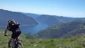 Comer See Mountainbiking Mountainbiking Comer See