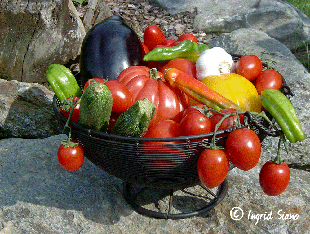 Gemüse vom Comer See